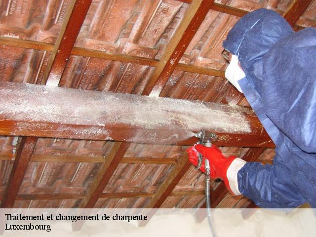 Traitement et changement de charpente Luxembourg