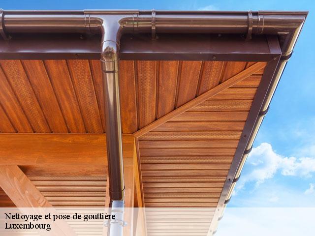 Nettoyage et pose de gouttière Luxembourg