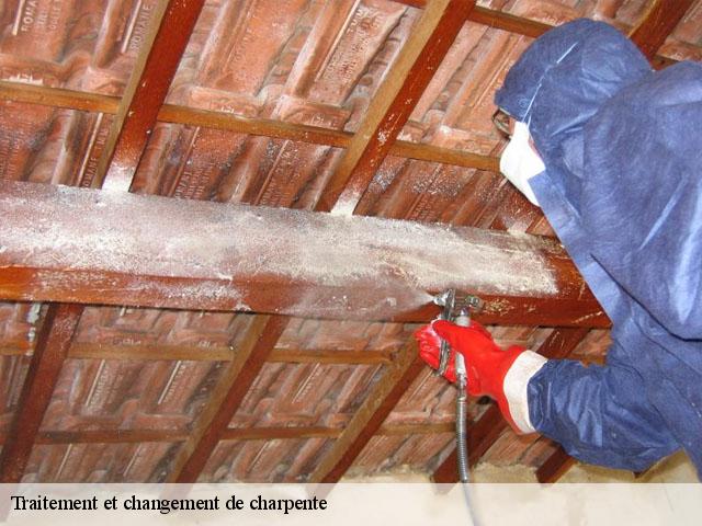 Traitement et changement de charpente