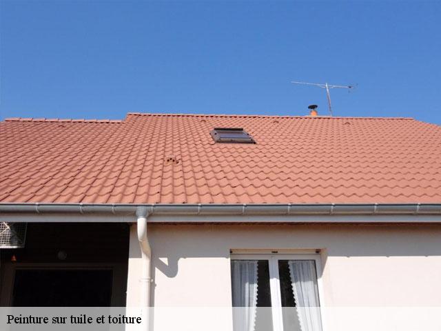 Peinture sur tuile et toiture