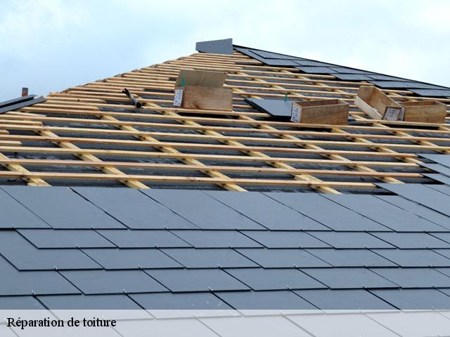 Réparation de toiture