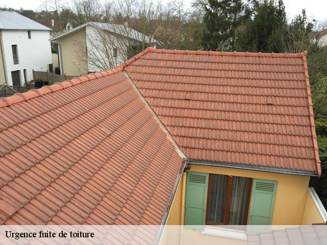 Urgence fuite de toiture