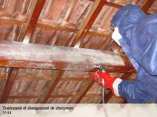 Traitement et changement de charpente 3544