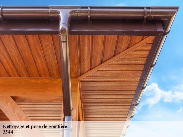 Nettoyage et pose de gouttière 3544