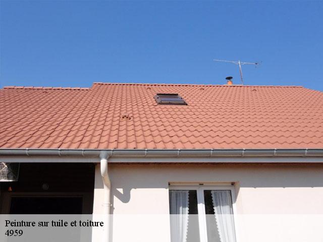 Peinture sur tuile et toiture 4959