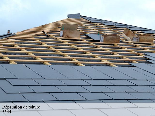 Réparation de toiture 3544